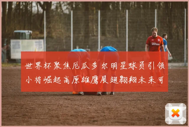 世界杯聚焦厄瓜多尔明星球员引领小将崛起高原雄鹰展翅翱翔未来可期